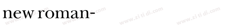 new roman字体转换